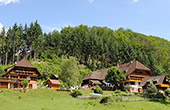 Ferienwohnungen Freiamt Schwarzwald Ferienhaus