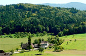 Gasthaus Pension "Reichenbächler Hof"